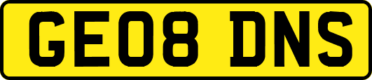 GE08DNS