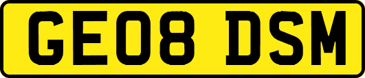 GE08DSM