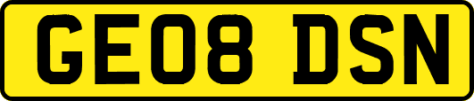 GE08DSN