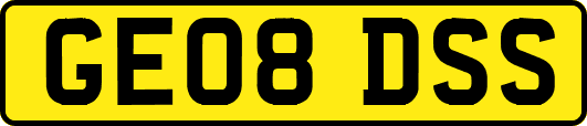 GE08DSS