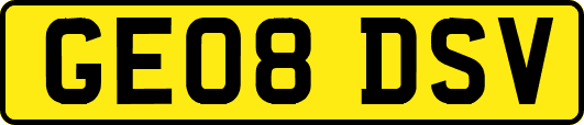 GE08DSV