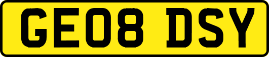 GE08DSY