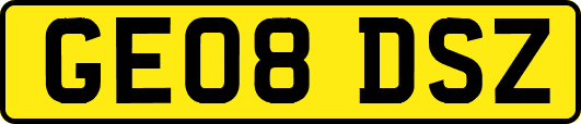 GE08DSZ