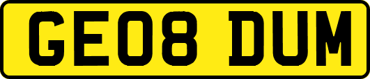 GE08DUM