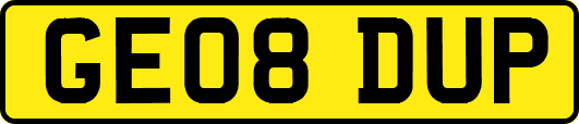 GE08DUP