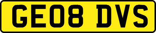GE08DVS