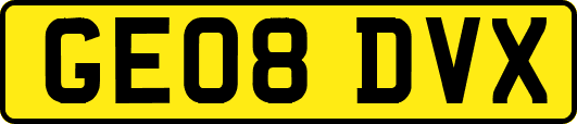 GE08DVX