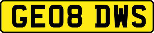 GE08DWS