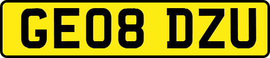 GE08DZU