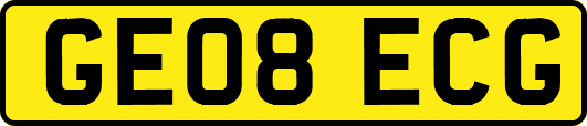 GE08ECG