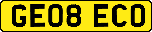 GE08ECO