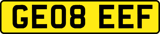 GE08EEF