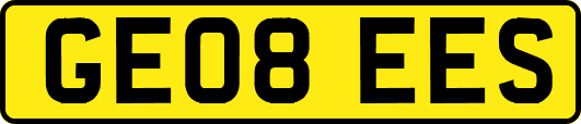 GE08EES