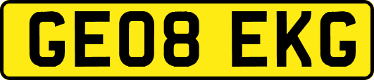 GE08EKG