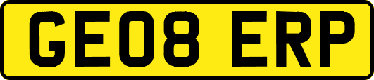 GE08ERP