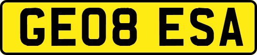 GE08ESA