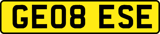 GE08ESE