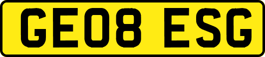 GE08ESG