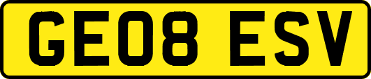 GE08ESV