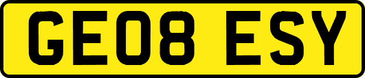 GE08ESY