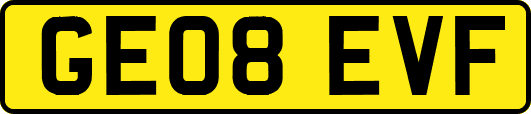 GE08EVF