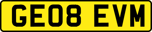 GE08EVM