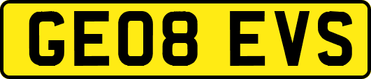 GE08EVS
