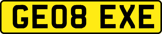 GE08EXE