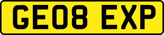 GE08EXP