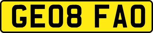 GE08FAO