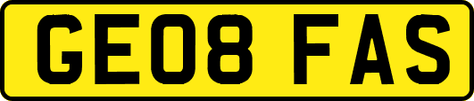 GE08FAS