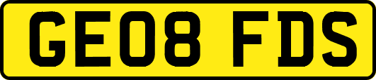 GE08FDS