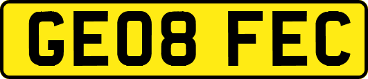 GE08FEC