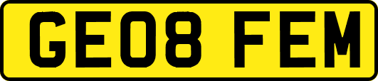GE08FEM