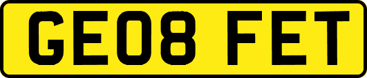 GE08FET