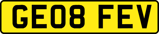 GE08FEV