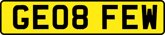 GE08FEW