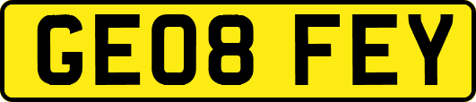 GE08FEY