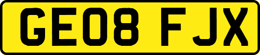 GE08FJX