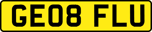 GE08FLU