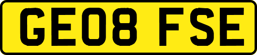 GE08FSE