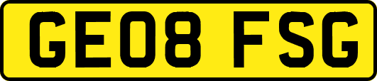 GE08FSG