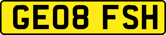GE08FSH