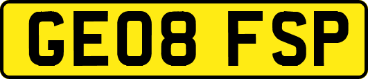 GE08FSP