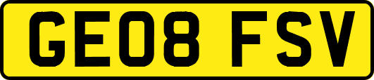 GE08FSV