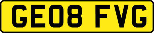 GE08FVG