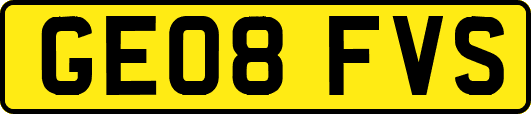 GE08FVS