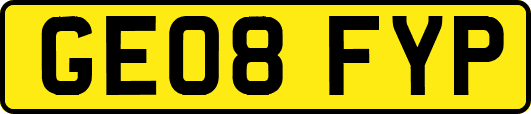 GE08FYP