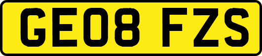 GE08FZS