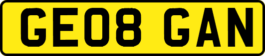 GE08GAN